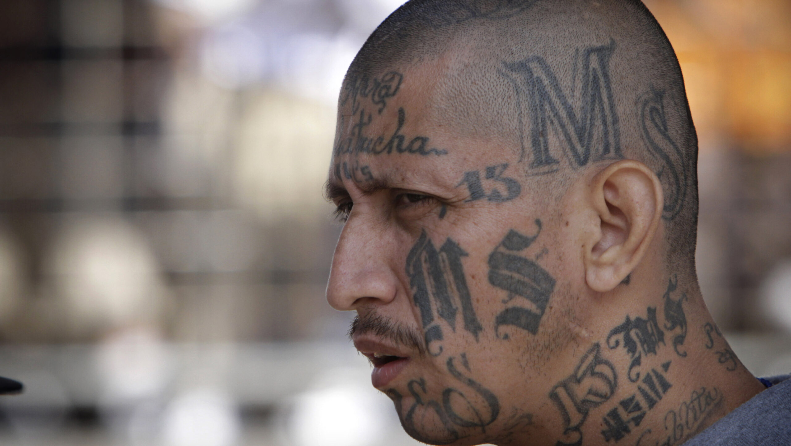 MS13: They Who Can’t be Stopped